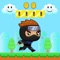 Ninja Boy is a platform game that will challenge your timing and dexterity