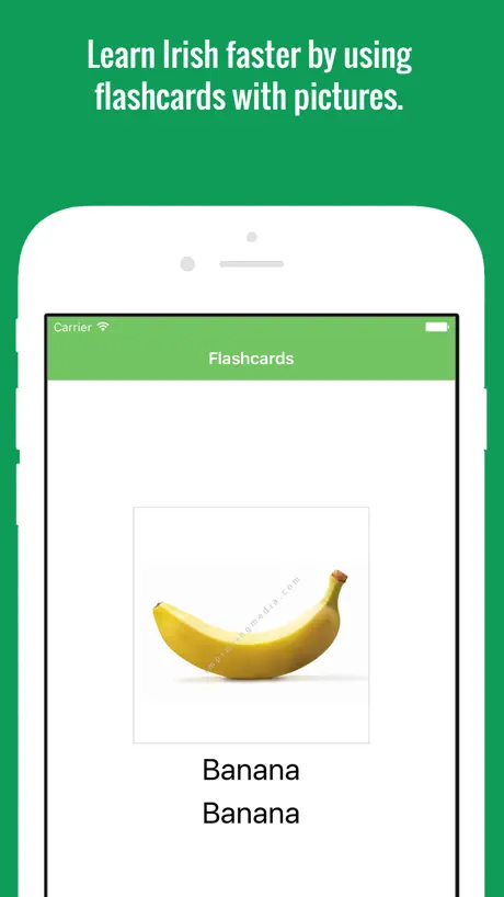 Irish Flashcards with Pictures Lite