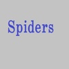 SpidersQuiz