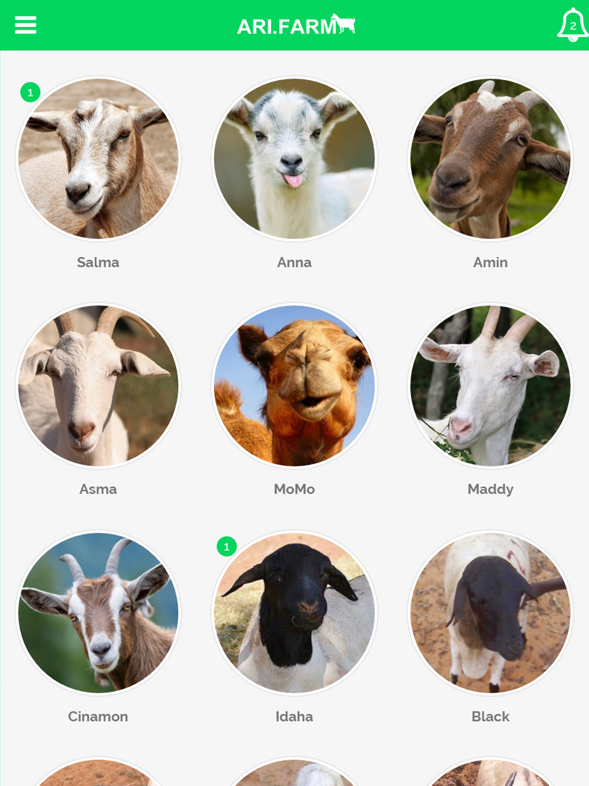 Ari.farm screenshot 6