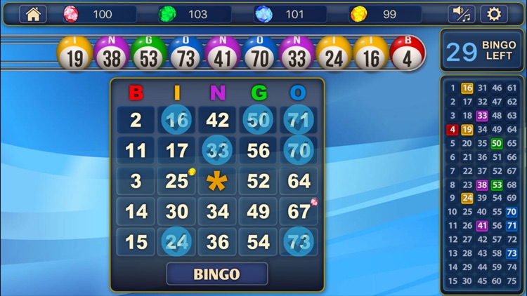 Bingo!!