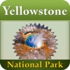 Yellowstone National Park Offline Travel Guide