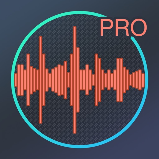 RecApp - The Most Advanced Voice Recorder icon