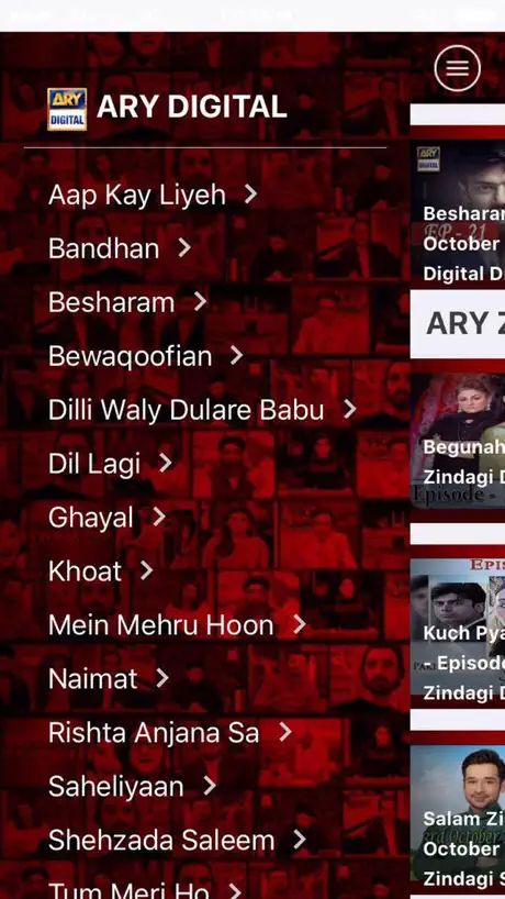 ARY Tube