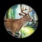 Big Deer Hunting Game : Sniper Forest Hunt Pro