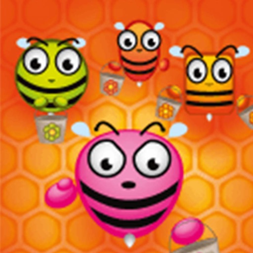 Honey master--every day hard honey icon