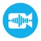 Video Voice Changer allows you to change the voice in video