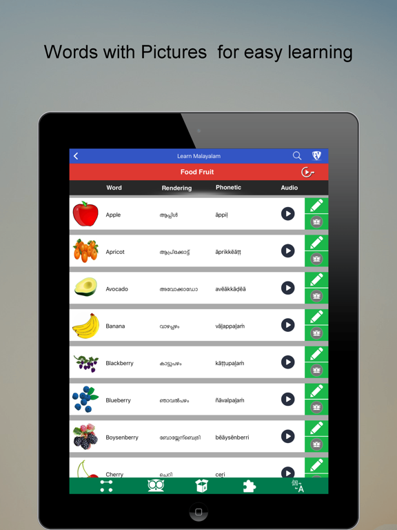 Screenshot #5 pour Learn Malayalam