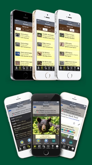 Alaska Mammals - Guide to Common Species(圖3)-速報App