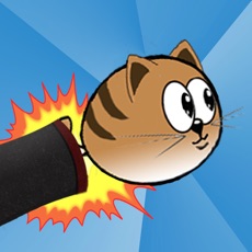 Activities of Cat Blast