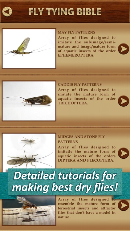 Fly Tying Bible - Dry Flies Pro Manual Fishing Equipment Usage Instructions & Procedures