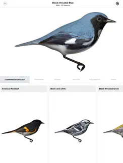 The Warbler Guide iPad image 3