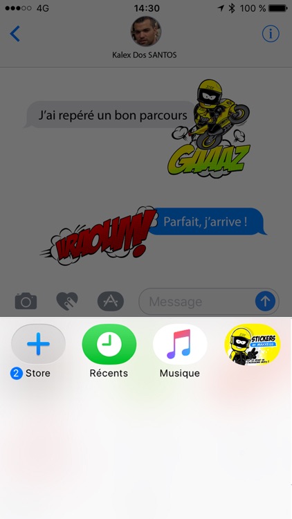 Maxxess Stickers