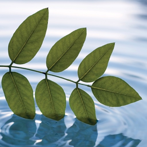 Meditasjon 1: Meditasjon for begynnere