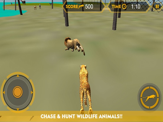 Wildlife cheetah Attack simulator 3D – Chase the wild animals, hunt them in this safari adventure iPad app afbeelding 3