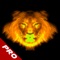 Attack Lion Ultimate: Instinct Animal PRO