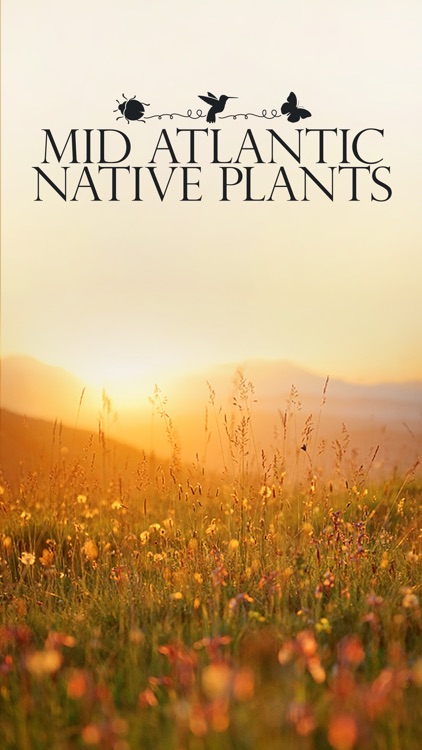 Mid Atlantic Native Plants