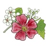 illuSalon PeterBraun Flower Stickers