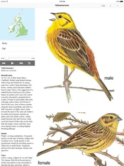 EGuide to British Birds iPad image 3