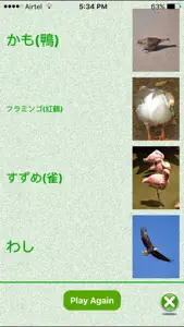 FlashCards Japanese Lesson screenshot #3 for iPhone