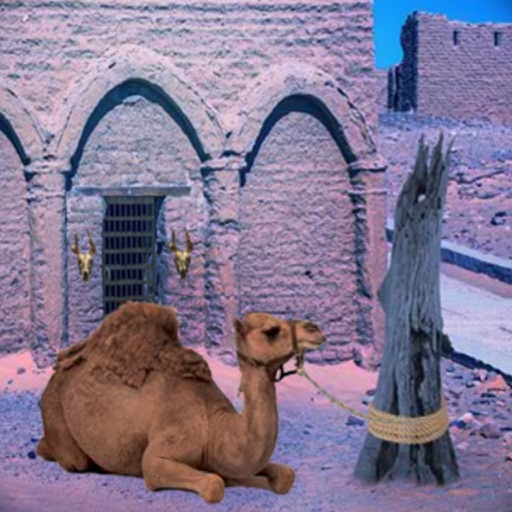 Escape Game Desert Camel Icon