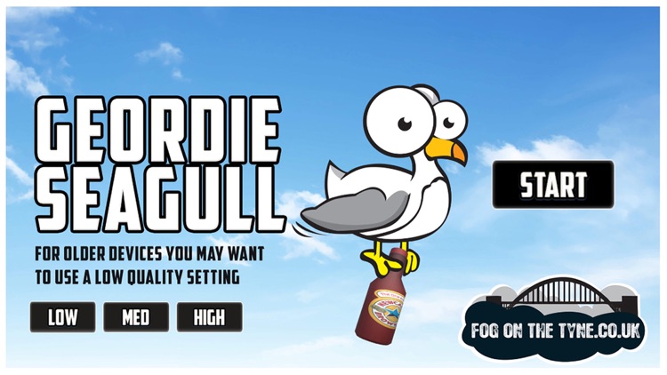 Geordie Seagull