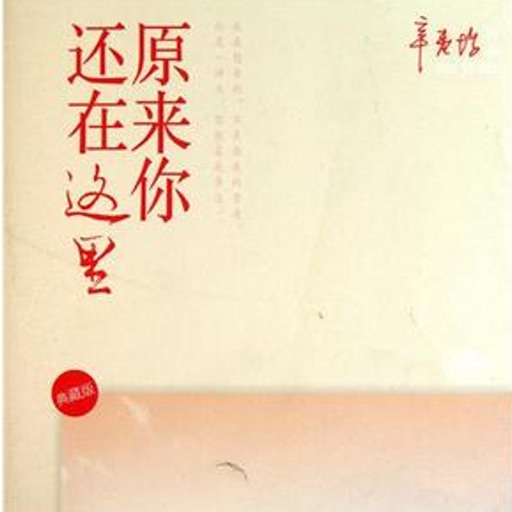 原来你还在这里-辛夷坞作品系列免费离线