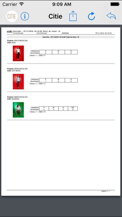 Siena Citie screenshot-4