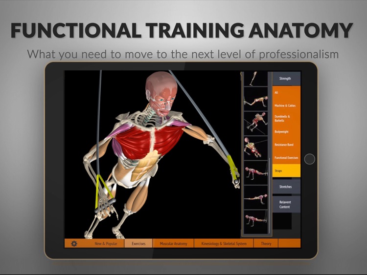 Muscle and Motion Strength Training