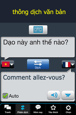 Vietnamese Conversation screenshot 3