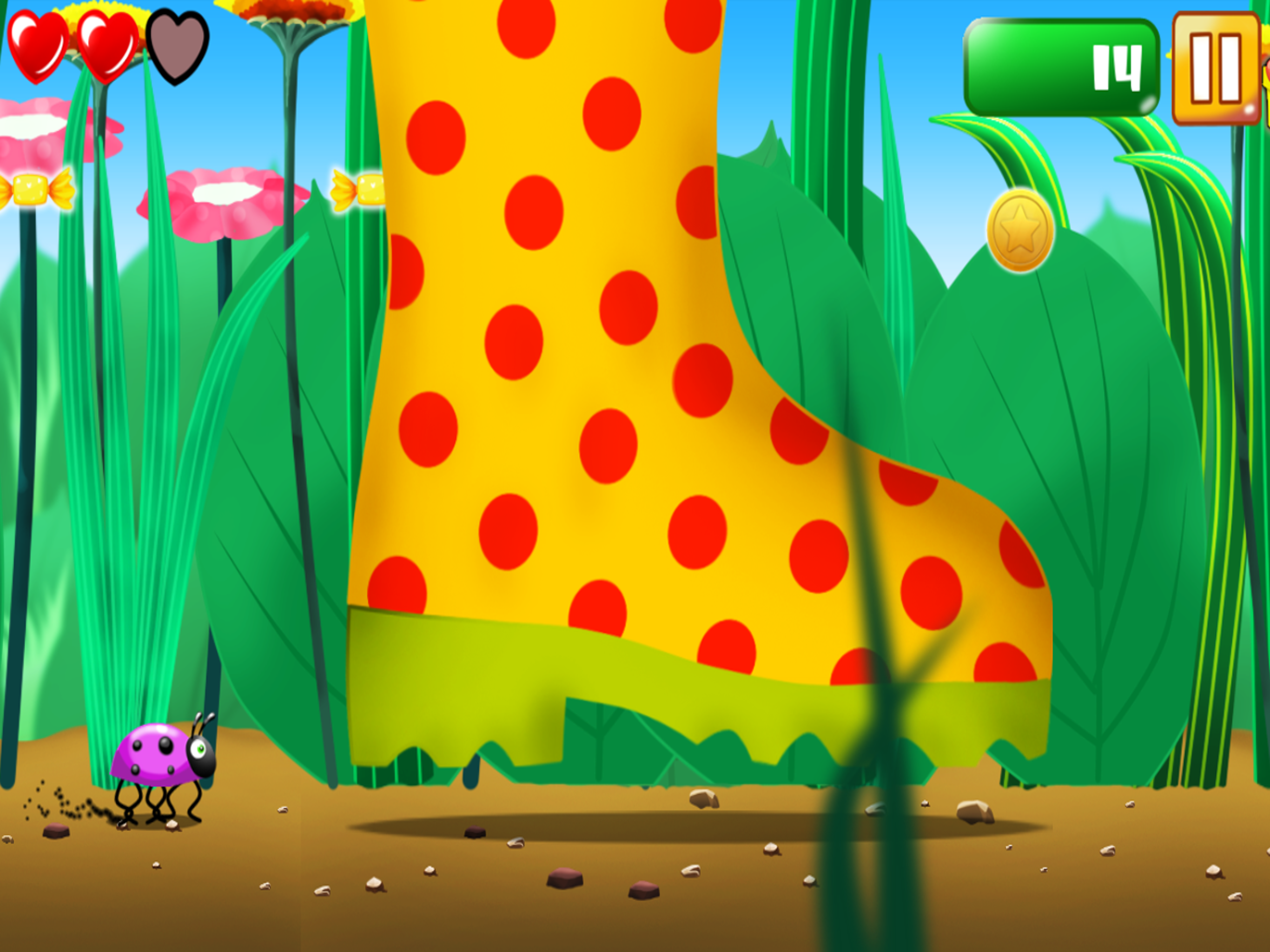 Little beetle run