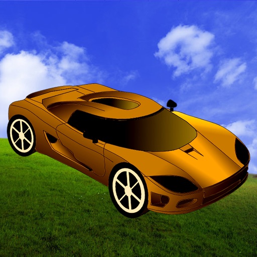 Amazing Race Car : The Real Road Racing Game