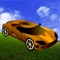 Amazing Race Car : The Real Road Racing Game