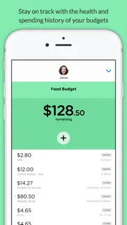 pennies mini - share budgets with your friends iphone screenshot 3