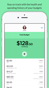 Pennies Mini - Share budgets with your friends screenshot