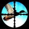 Amazon Duck Sniper : Gun Shooting New Game