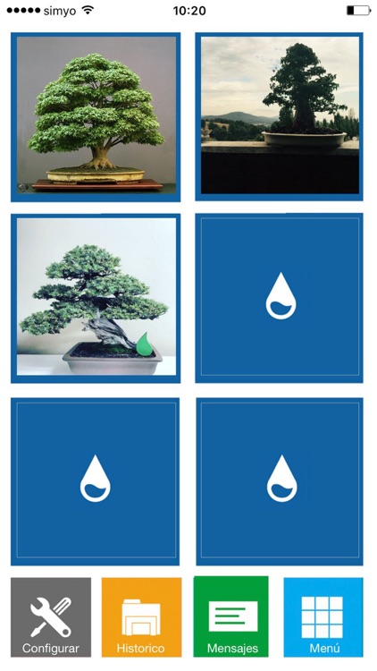 safeBonsai