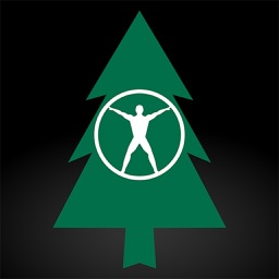 Ergonomic Solutions for Workers