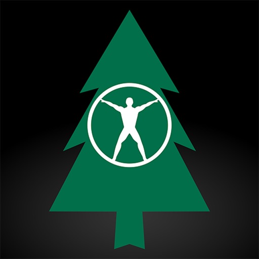 Ergonomic Solutions for Workers