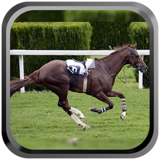 Derby Quest:Horse Breed-ing and Racing Champion HD Icon