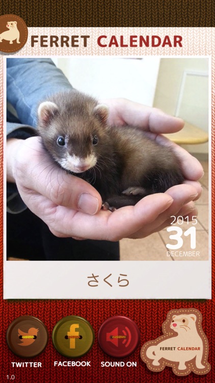 Ferret Calendar