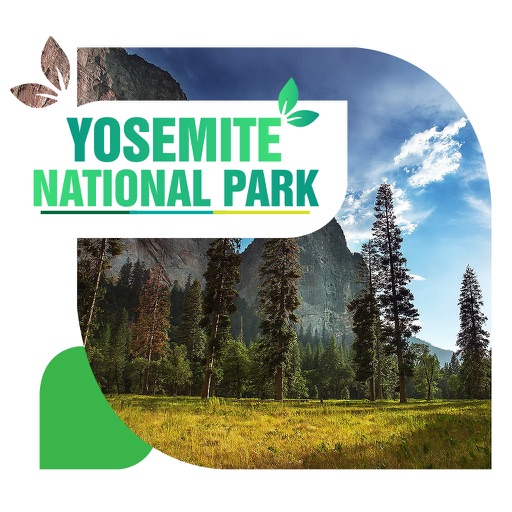 Yosemite National Park Travel Guide