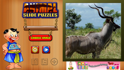 How to cancel & delete Kids Animal Slide Puzzle Ghép Hình Động Vật Cho Bé from iphone & ipad 2