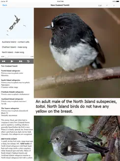 Birds of New Zealand iPad image 2