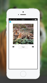 Animal Sounds & Photos for Kids screenshot