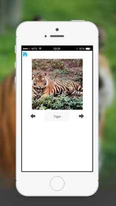 Animal Sounds & Photos for Kids screenshot 3
