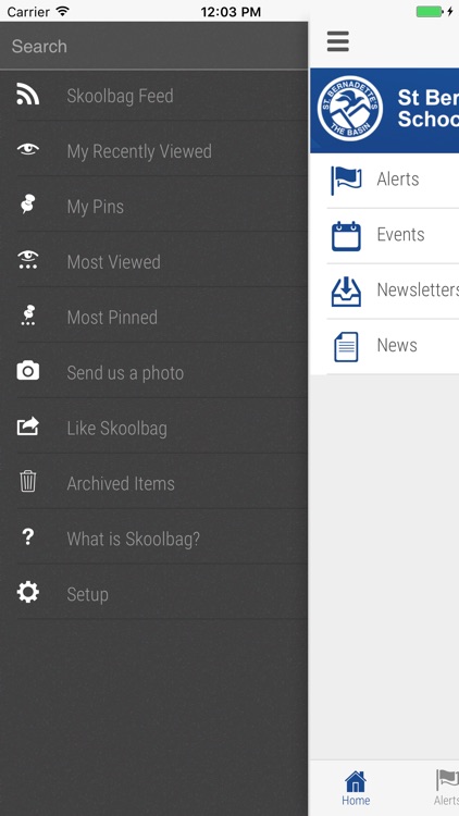 St Bernadettes School The Basin