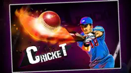 Game screenshot Cricket 3D : Street Challenge apk