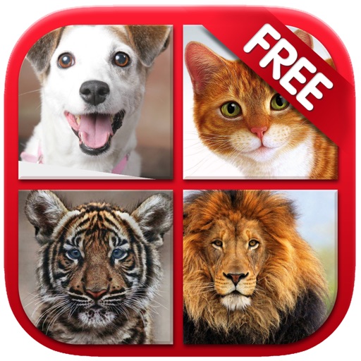 Animal Sounds & Photos for Kids Icon