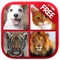 Icon Animal Sounds & Photos for Kids